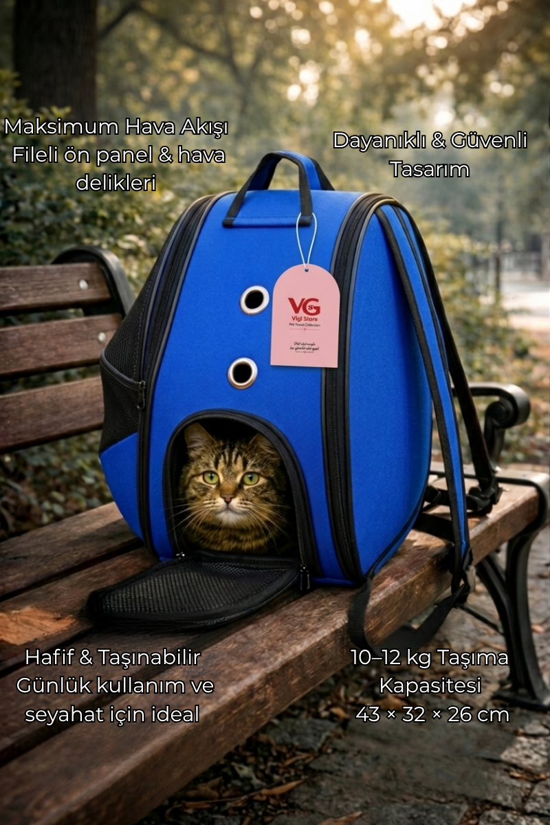 Vigi Store XL Fileli Astronot Kedi Taşıma Çantası | Premium Pet Sırt Çantası | Küçük Irk Köpek Taşıma Çantası Mavi