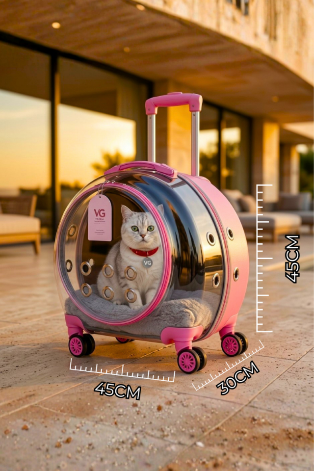 VG Premium XL Çekçekli Kedi Taşıma Valizi | Şeffaf Astronot Kedi & Küçük Köpek Taşıma Çantası Tekerlekli