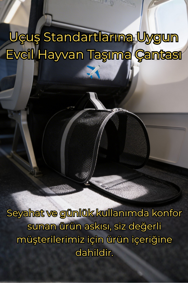 Uçuş Standartlarına Uygun Kedi Taşıma Çantası | Kabin Boy Pet Taşıma Çantası | Vigi Store Gri