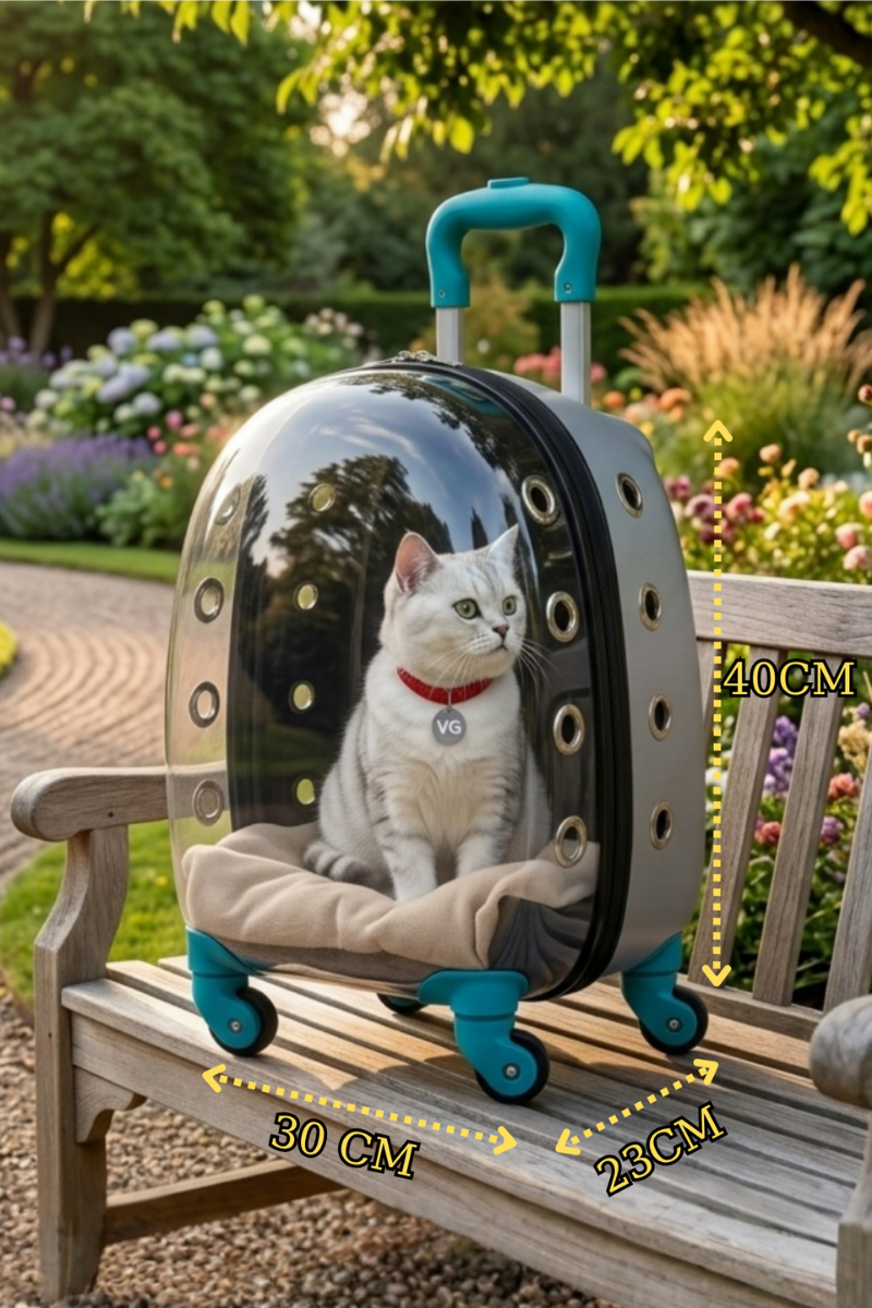 VG Astronot Şeffaf Kedi ve Köpek Taşıma Valizi | Tekerlekli Pet Taşıma Çantası Gri