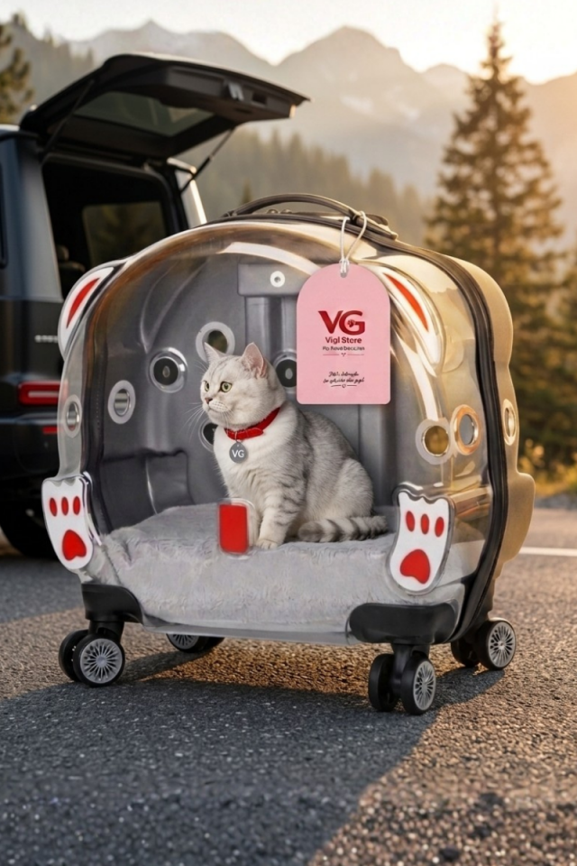 Şeffaf Tekerlekli Kedi Taşıma Valizi XL | Çekçekli Kedi ve Köpek Taşıma Çantası | Açık Gri | Vigi Store